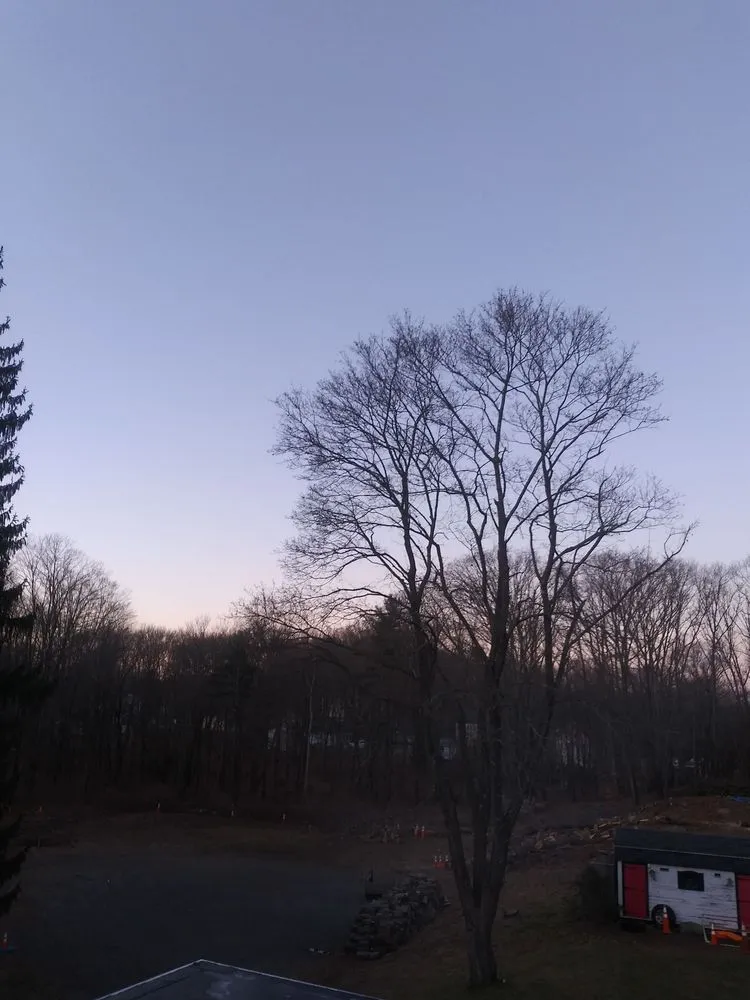 Affordable outdoor landscaping experts serving Worcester, MA - Transcape Your Landscape