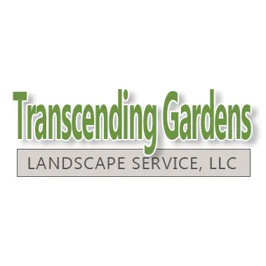 Affordable yard cleanup service with custom design in Clarkston, MI by Transcending Gardens