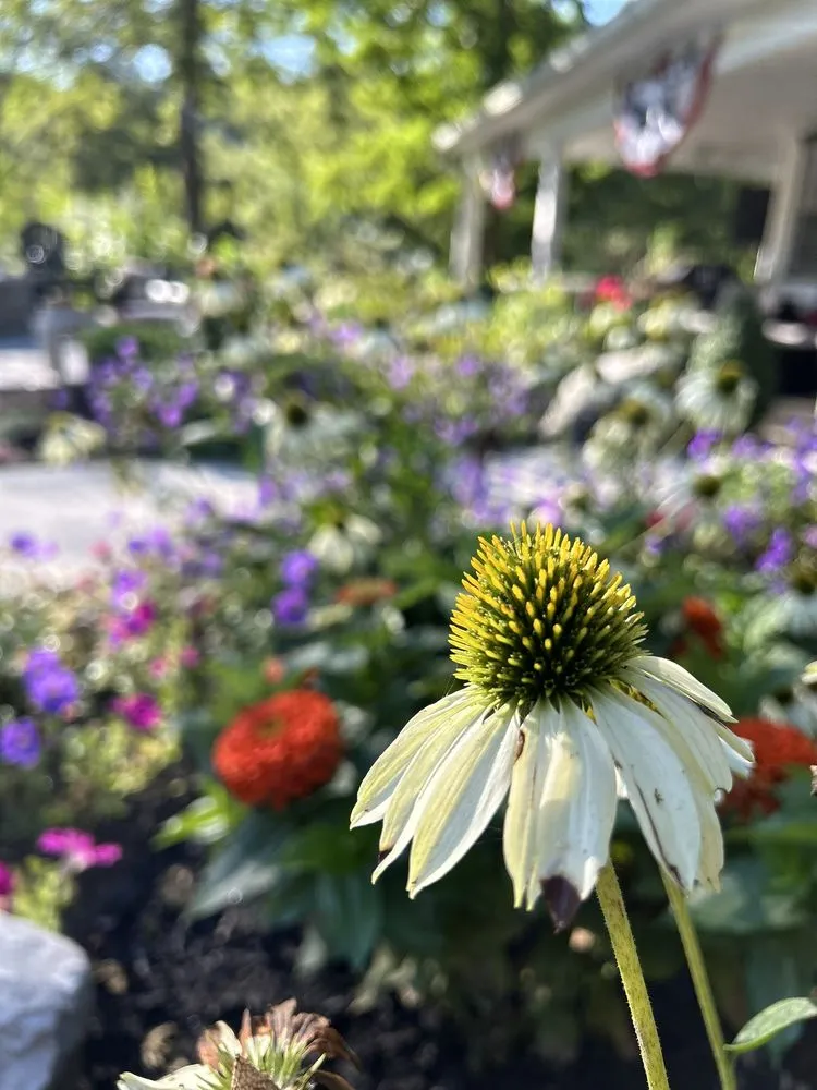 Affordable landscape installation in Baden, PA - Transfigurations Landscaping + Construction