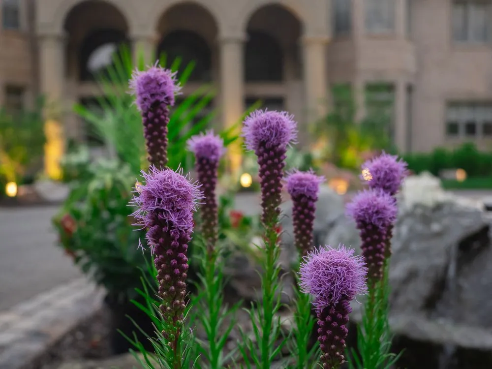 Reliable garden landscaping experts serving Baden, PA - Transfigurations Landscaping + Construction