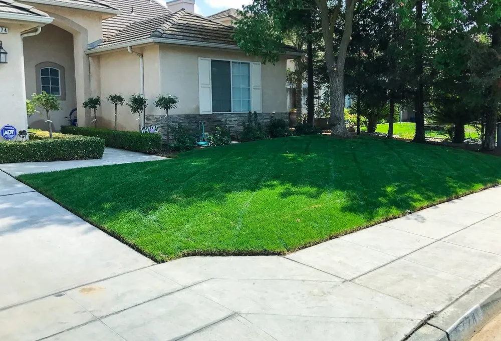 Top-rated landscape installation in Madera, CA - Transform Landscape