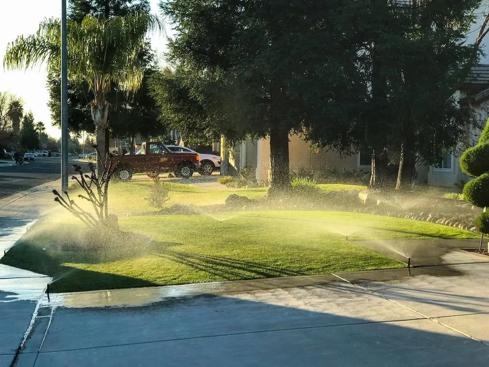 Custom residential landscaping for year-round maintenance in Madera, CA by Transform Landscape