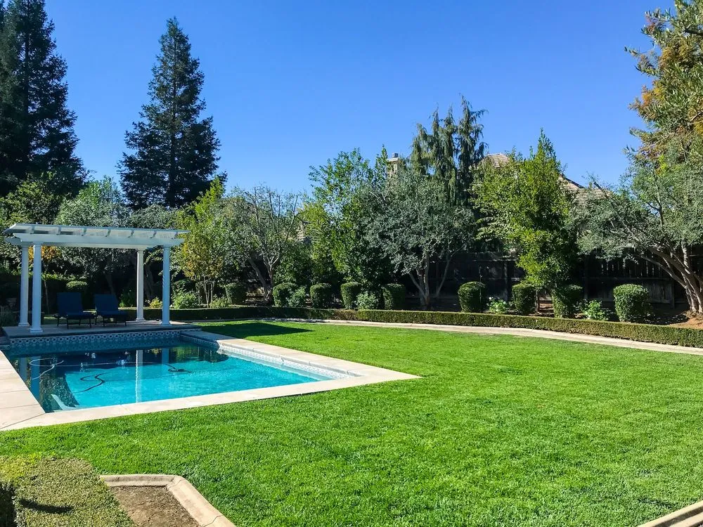 Reliable yard maintenance in Madera, CA by Transform Landscape