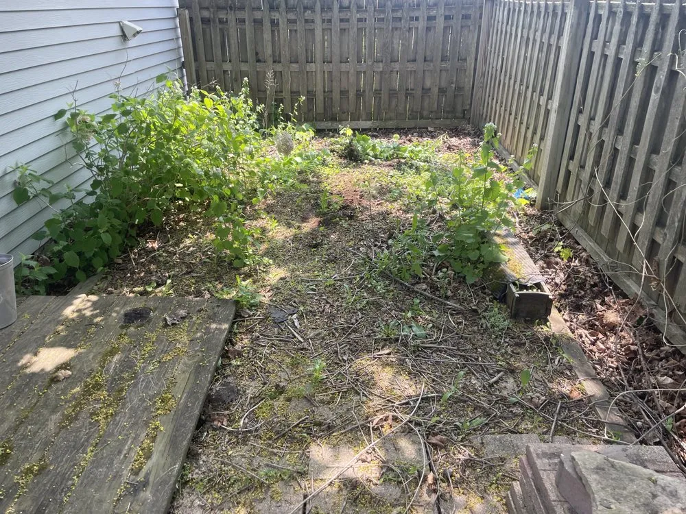 Reliable yard cleanup service in Racine, WI - Transform Landscaping