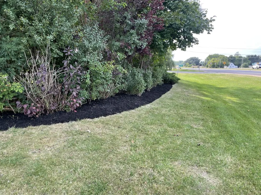 Local yard maintenance in Racine, WI - Transform Landscaping