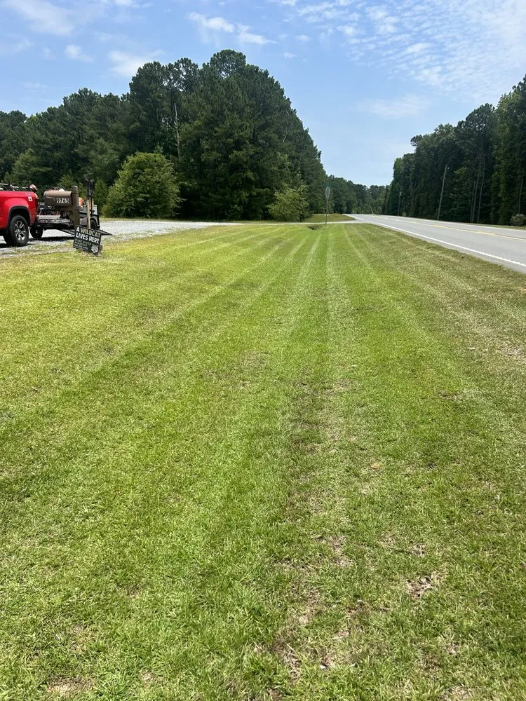 Trusted residential landscaping in Columbus, GA - Transform Lawn Services