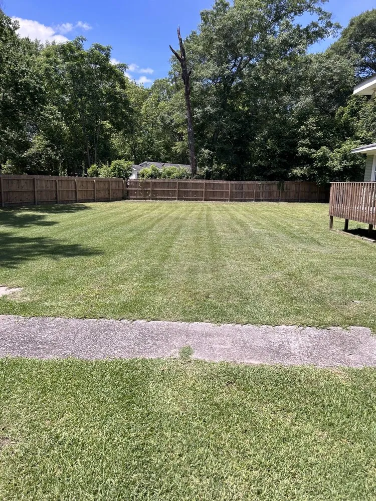 Reliable yard cleanup service for beautiful yards across Columbus, GA - Transform Lawn Services