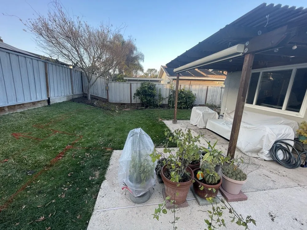 Affordable lawn mowing service for homes in Castro Valley, CA by Transformation Construction and Design