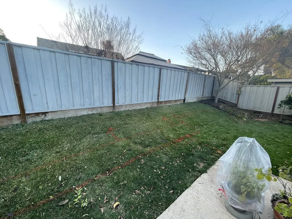 Affordable lawn care service experts serving Castro Valley, CA - Transformation Construction and Design