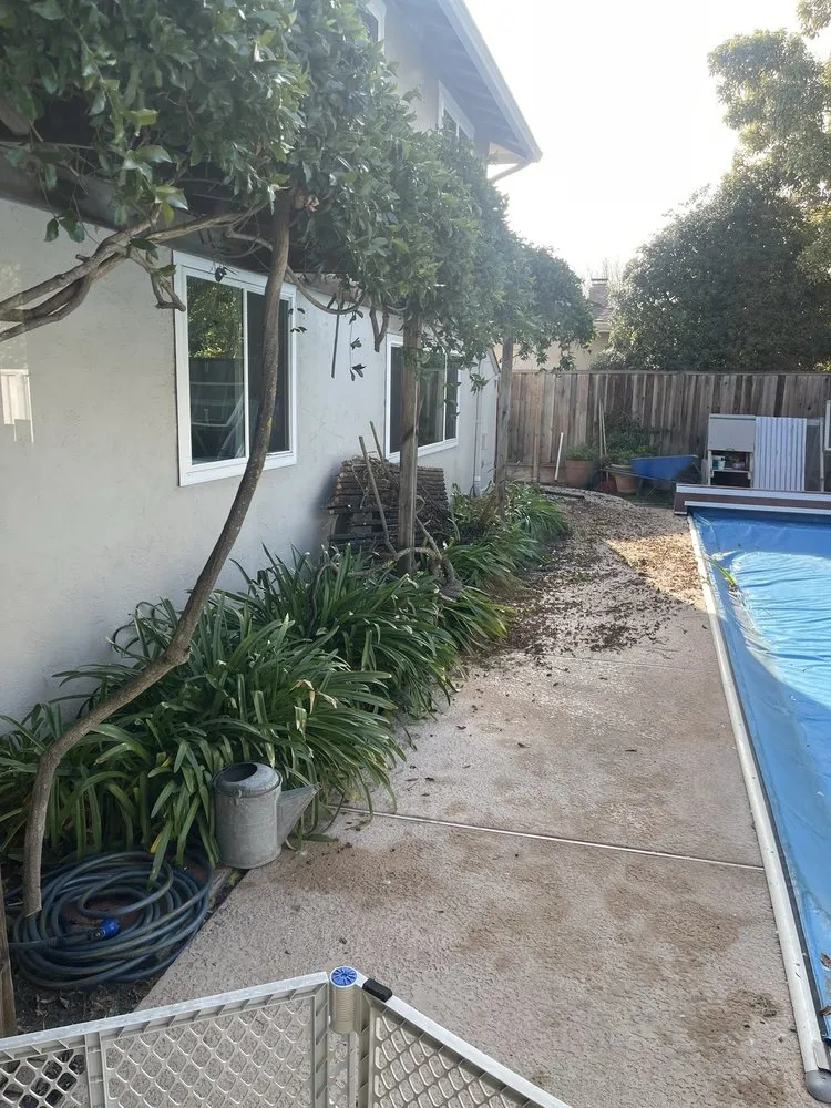 Custom landscape design for beautiful yards across Castro Valley, CA - Transformation Construction and Design