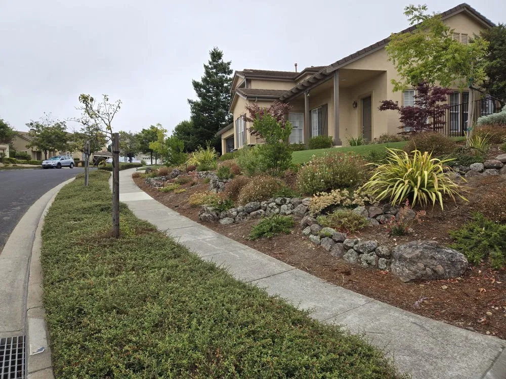 Custom landscape installation for homes across Castro Valley, CA - Transformation Construction and Design