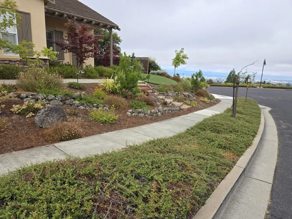 Affordable landscape installation near you across Castro Valley, CA - Transformation Construction and Design