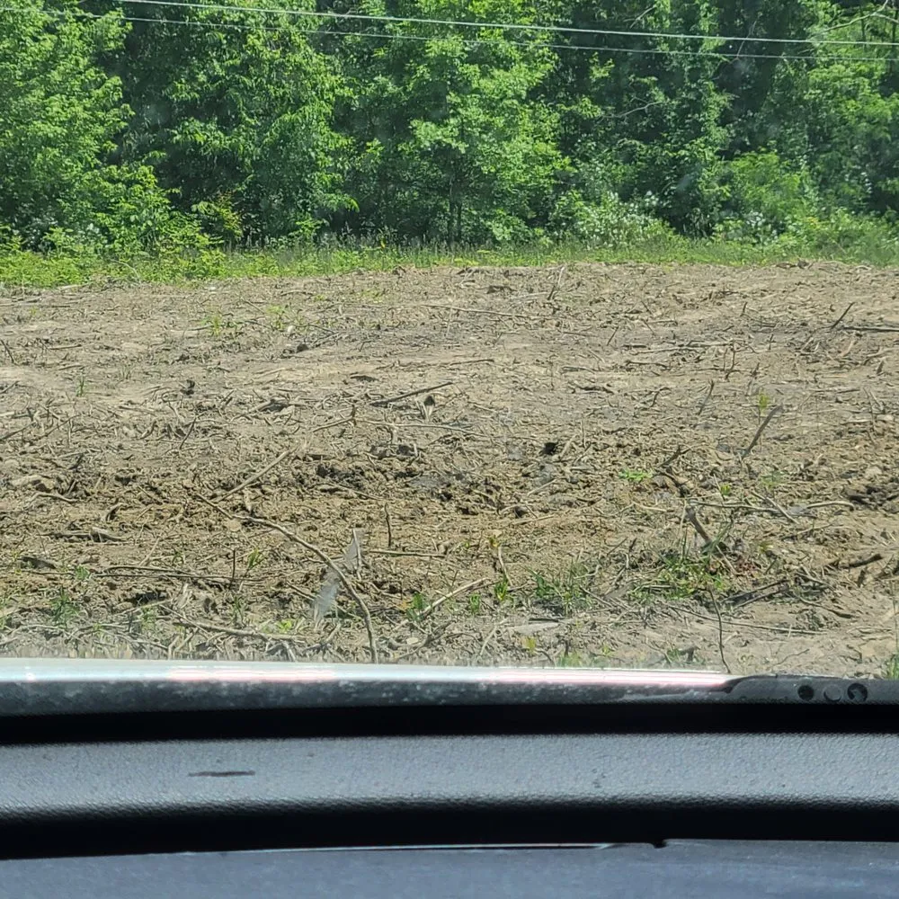 Local yard cleanup service experts serving Pataskala, OH - Transformation Landscaping