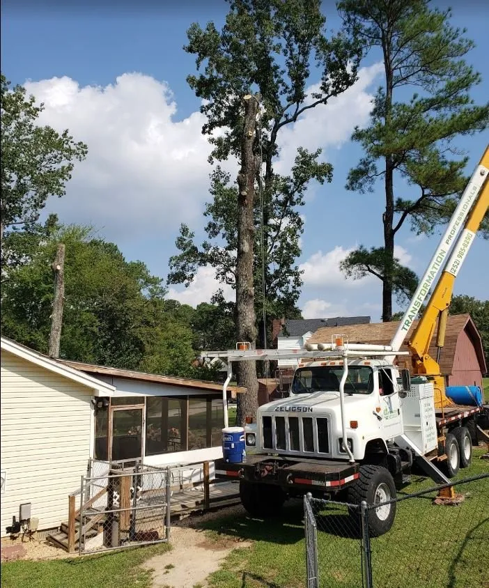 Top-rated landscape installation for homes across Rocky Mount, NC - Transformation Professionals