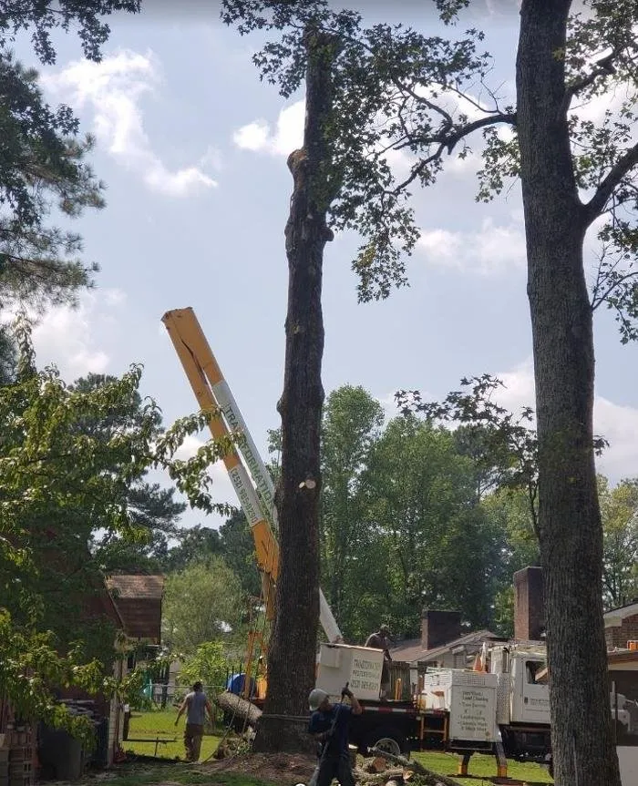 Local landscape installation experts serving Rocky Mount, NC - Transformation Professionals