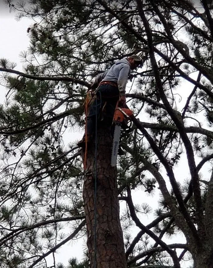 Professional garden landscaping experts serving Rocky Mount, NC - Transformation Professionals