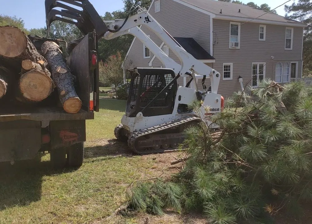 Top-rated lawn mowing service for year-round maintenance across Rocky Mount, NC - Transformation Professionals