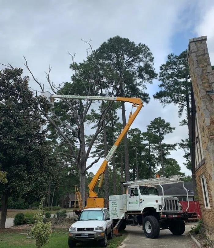 Custom yard cleanup service in Rocky Mount, NC by Transformation Professionals