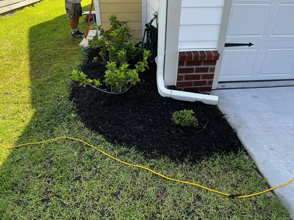 Custom landscape installation in Johns Island, SC by Transformed Landscape Design and Maintenance