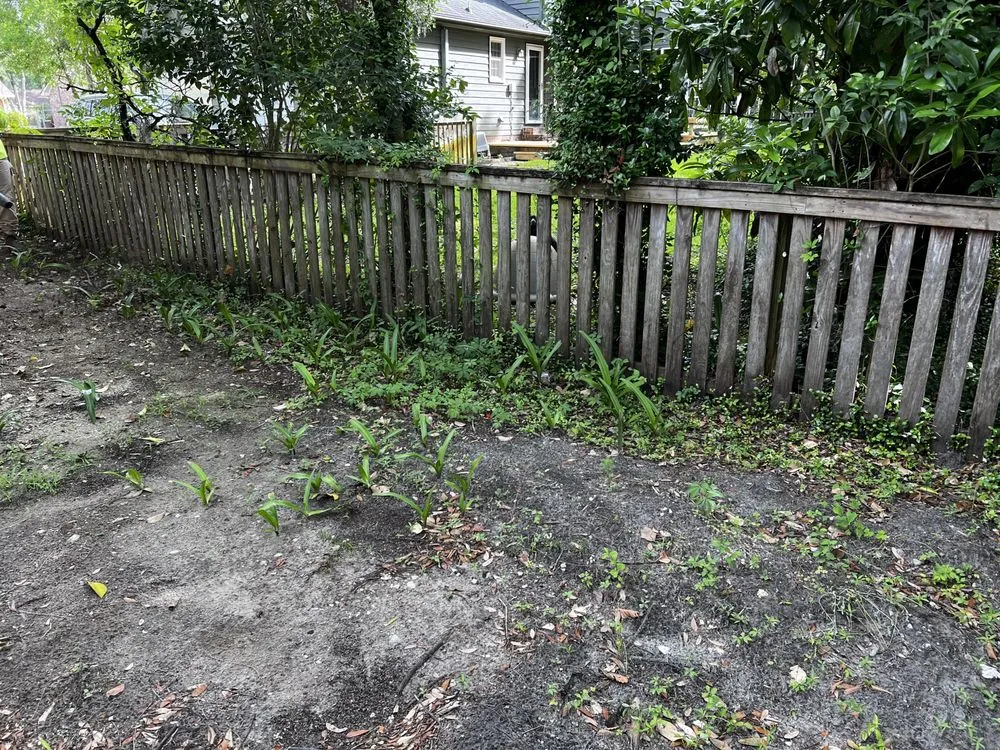 Affordable outdoor landscaping in Johns Island, SC by Transformed Landscape Design and Maintenance
