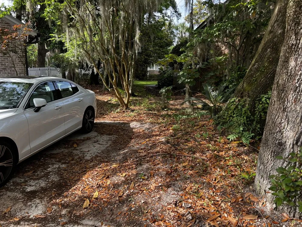 Local yard maintenance experts serving Johns Island, SC - Transformed Landscape Design and Maintenance