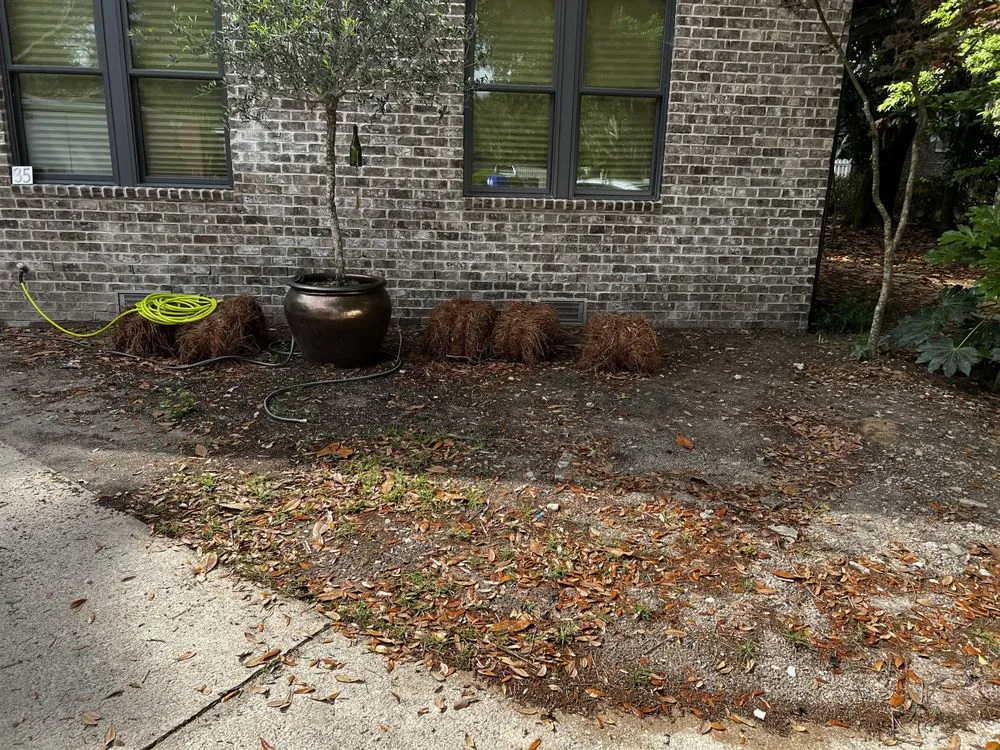 Local residential landscaping in Johns Island, SC by Transformed Landscape Design and Maintenance