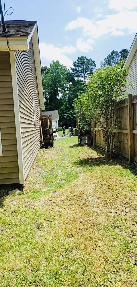 Custom residential landscaping in Johns Island, SC by Transformed Landscape Design and Maintenance