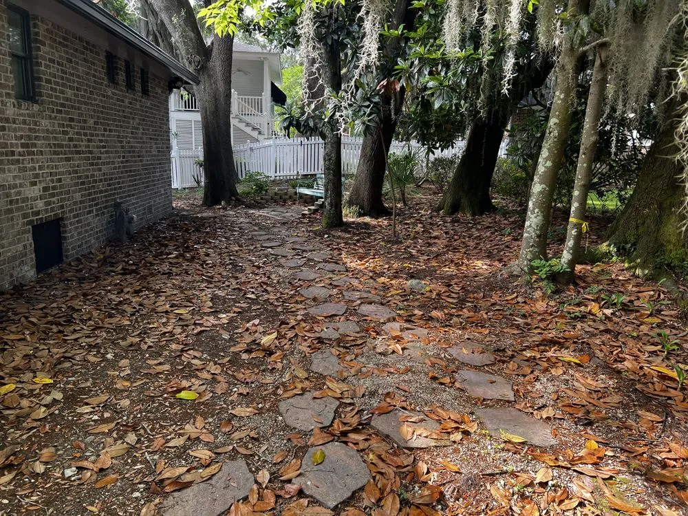 Expert residential landscaping for year-round maintenance in Johns Island, SC by Transformed Landscape Design and Maintenance