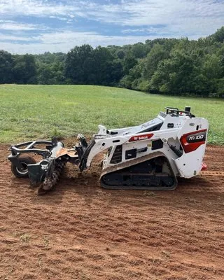 Transformed Landscapes Logo