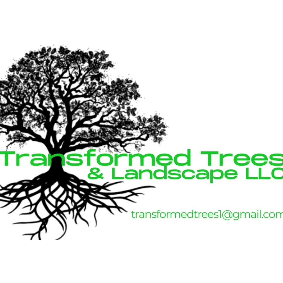 Affordable garden landscaping in Tucson, AZ - Transformed Trees and Landscaping