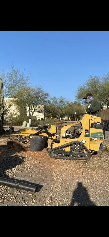 Custom yard maintenance experts serving Tucson, AZ - Transformed Trees and Landscaping