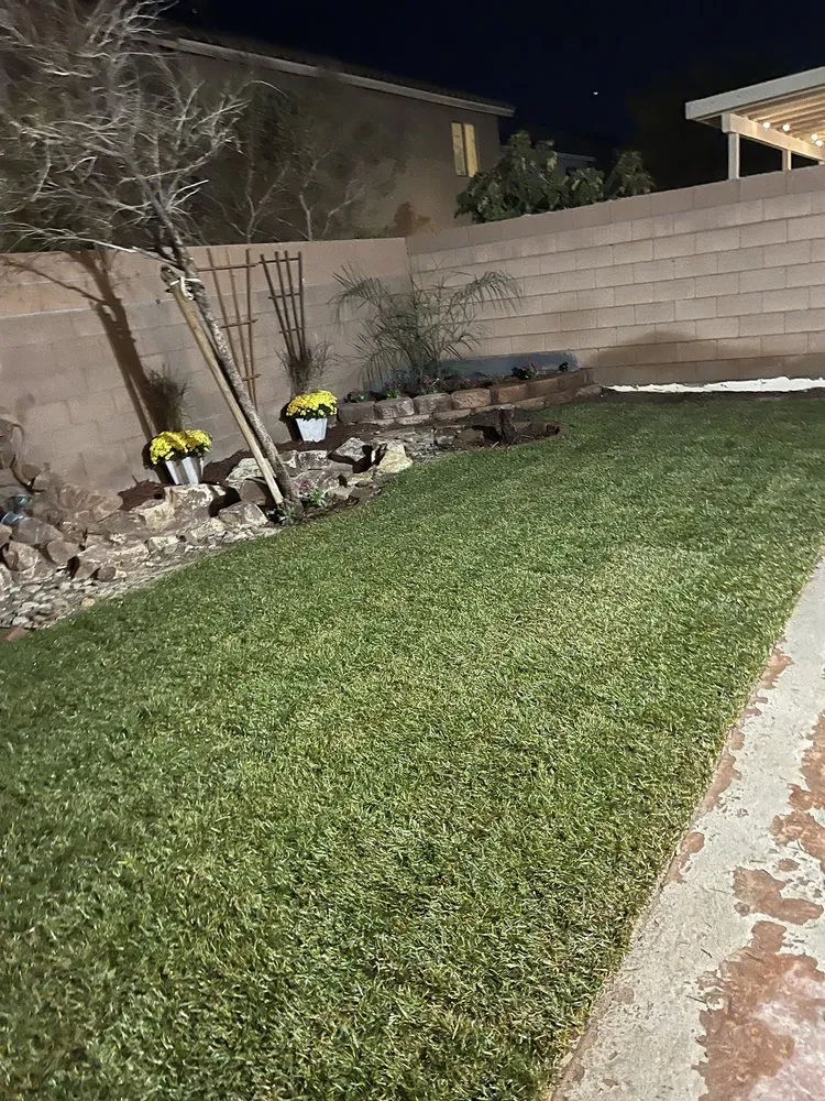 Reliable residential landscaping in Las Vegas, NV - Transformers Landscaping