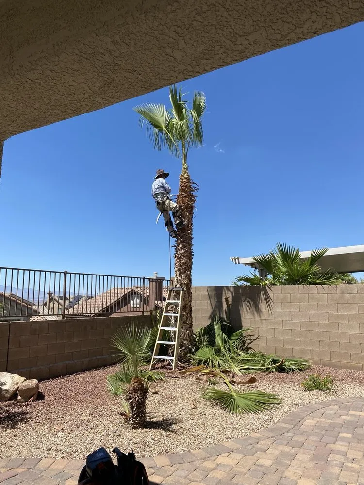 Custom garden landscaping in Las Vegas, NV - Transformers Landscaping