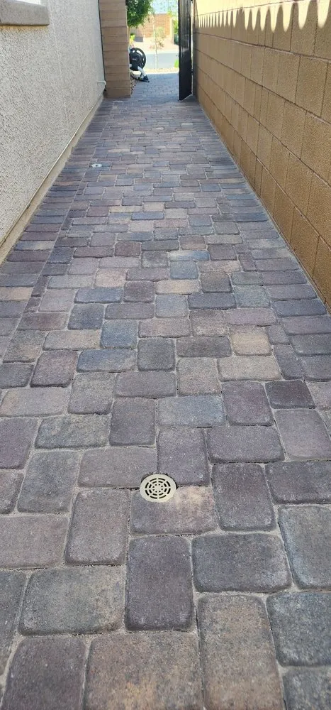 Trusted landscaping services experts serving Las Vegas, NV - Transformers Landscaping