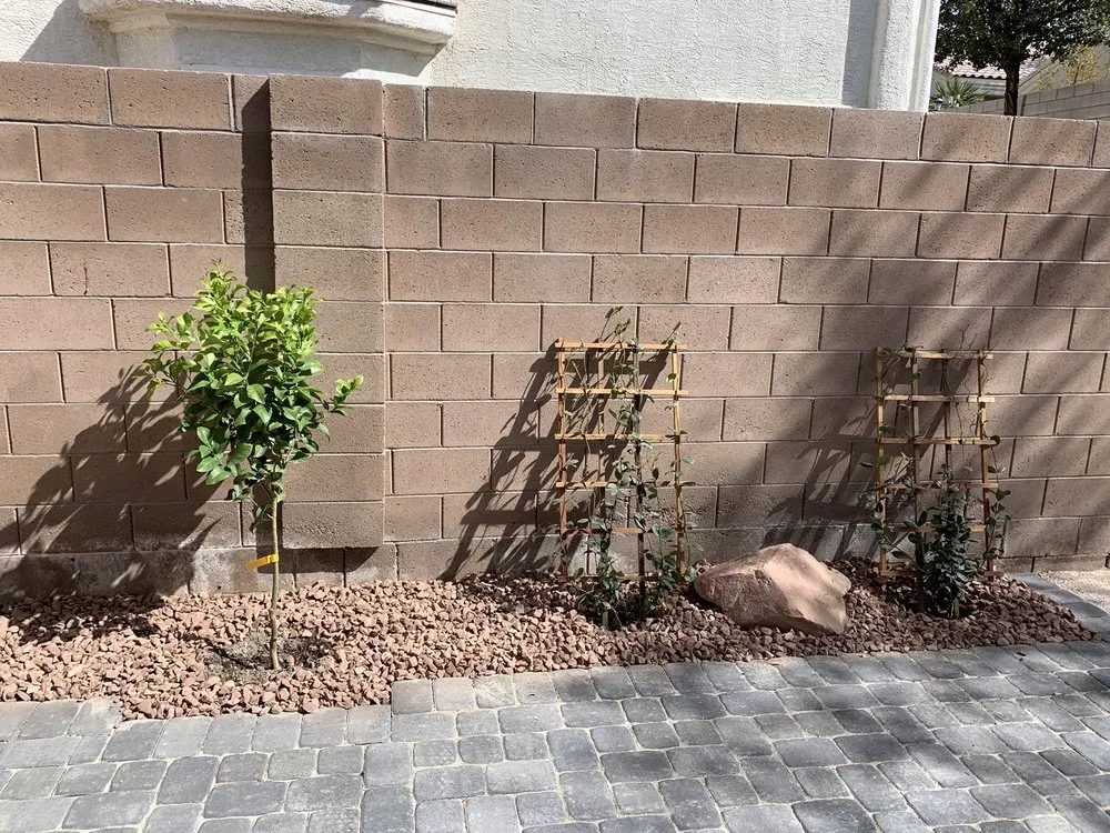 Affordable yard cleanup service for beautiful yards in Las Vegas, NV by Transformers Landscaping