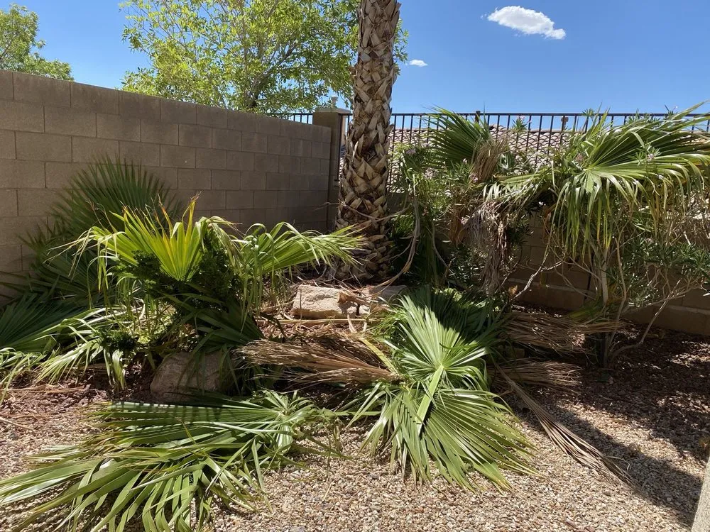 Affordable landscape design near you in Las Vegas, NV by Transformers Landscaping