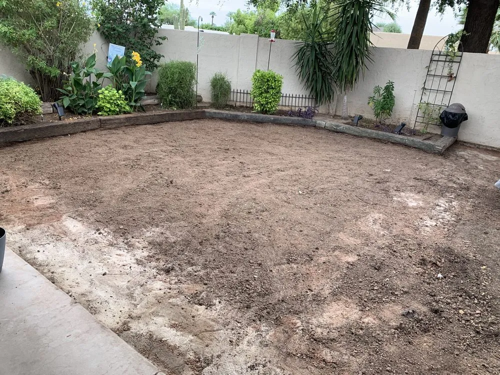 Affordable lawn mowing service for beautiful yards in Glendale, AZ by Transforming Landscape