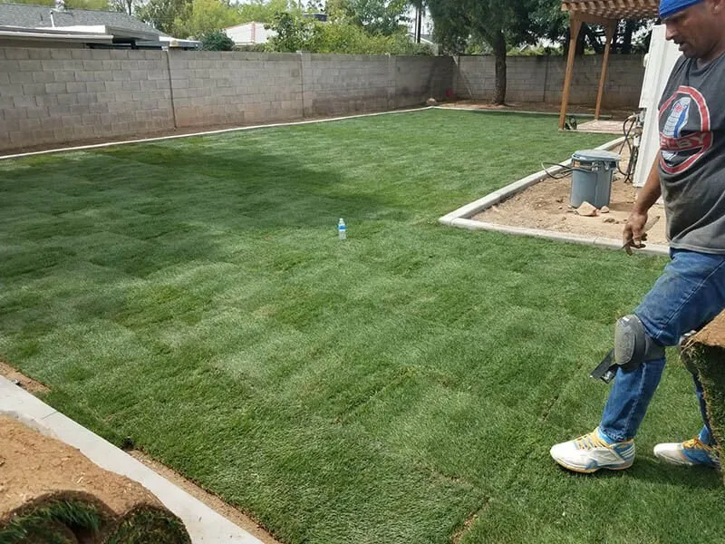 Top-rated lawn care service in Glendale, AZ - Transforming Landscape