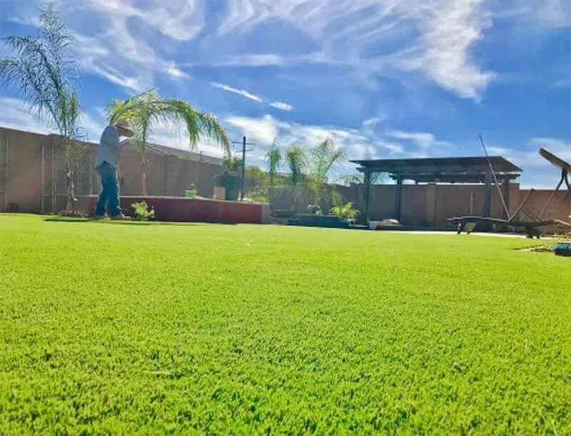 Reliable yard maintenance in Glendale, AZ by Transforming Landscape