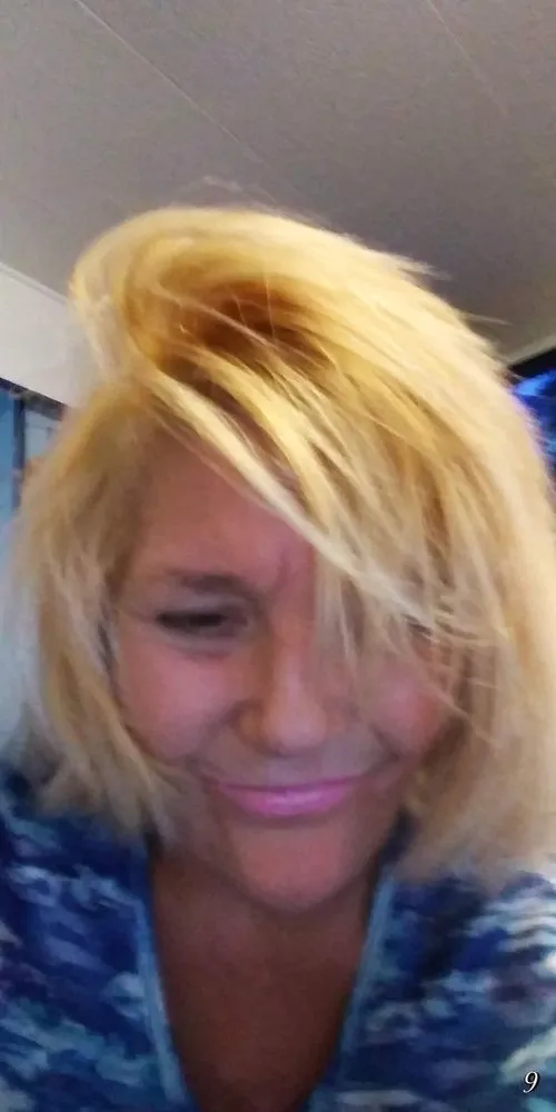 Affordable landscaping services for outdoor upgrades across Belleair Bluffs, FL - Transforming Lawn Care & Landscaping