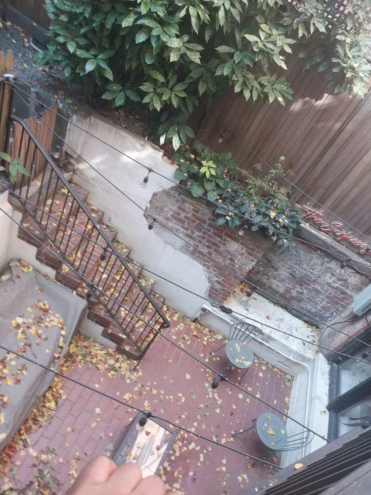 Top-rated yard cleanup service in New York, NY - Transiciones