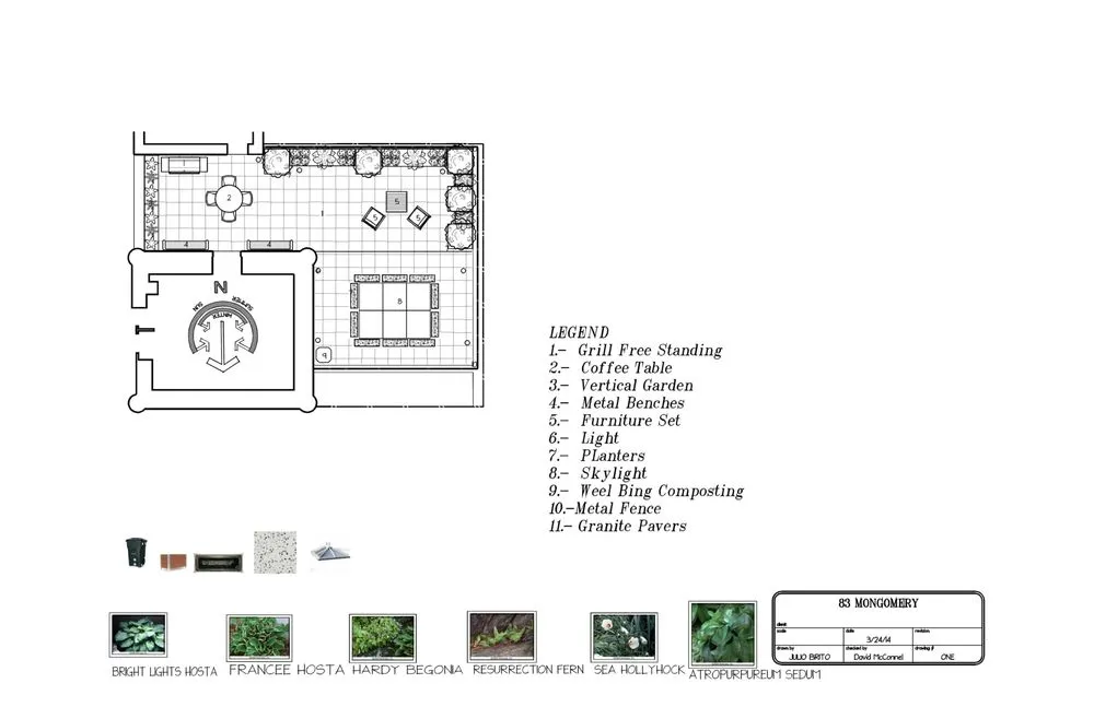 Local lawn care service in New York, NY - Transiciones