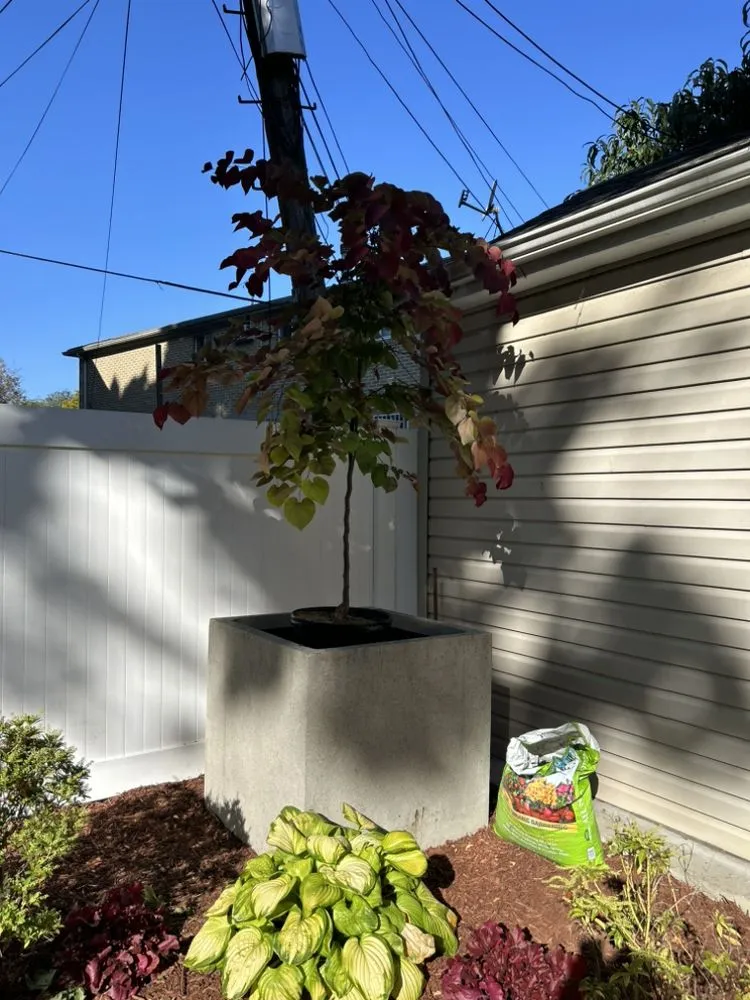 Local outdoor landscaping for outdoor upgrades across New York, NY - Transiciones