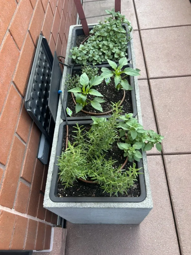 Professional lawn mowing service for beautiful yards across New York, NY - Transiciones