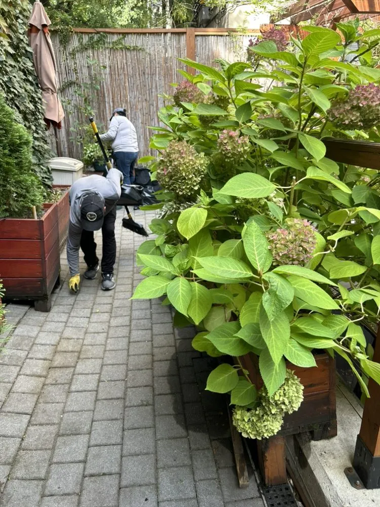 Local landscape design in New York, NY by Transiciones