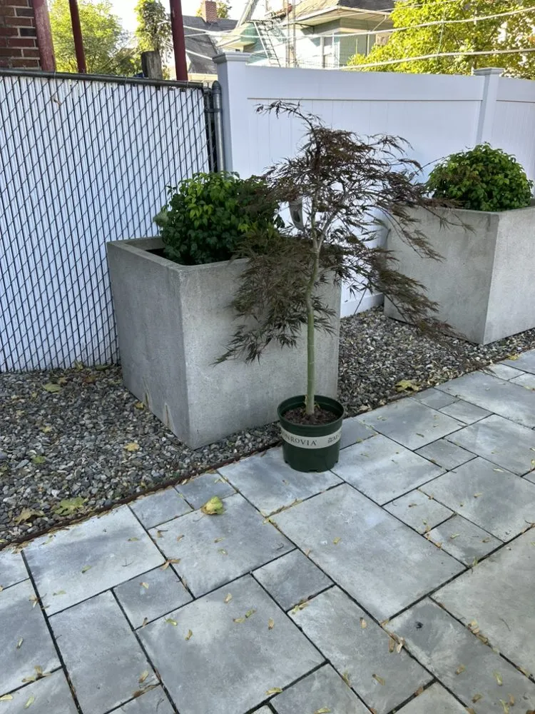 Professional landscape installation experts serving New York, NY - Transiciones