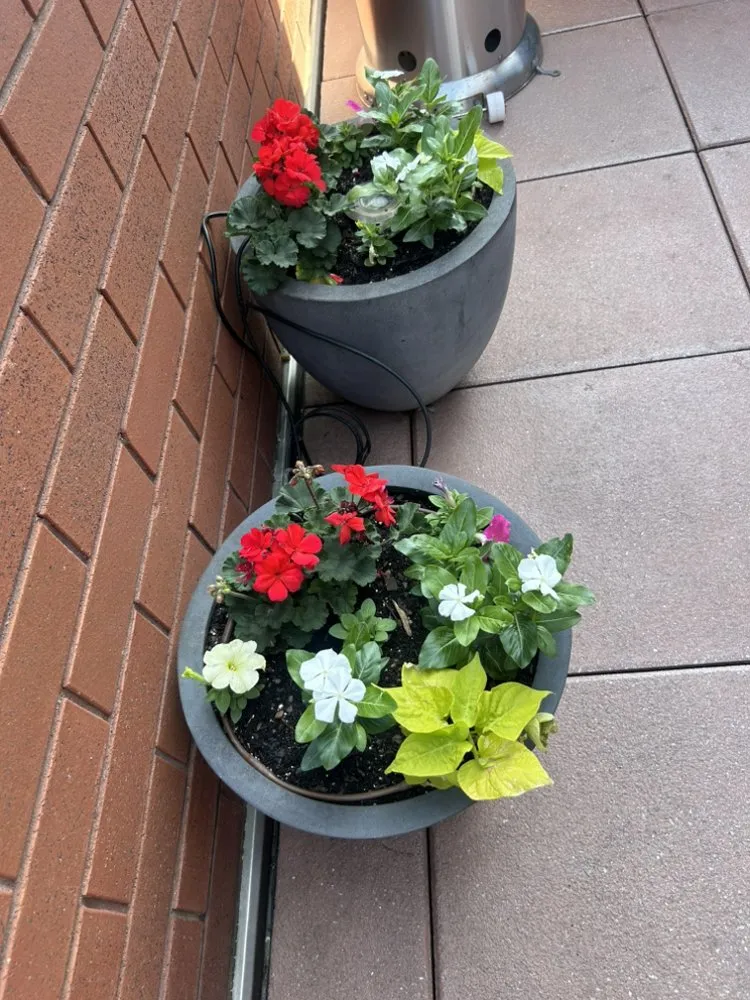 Expert outdoor landscaping experts serving New York, NY - Transiciones