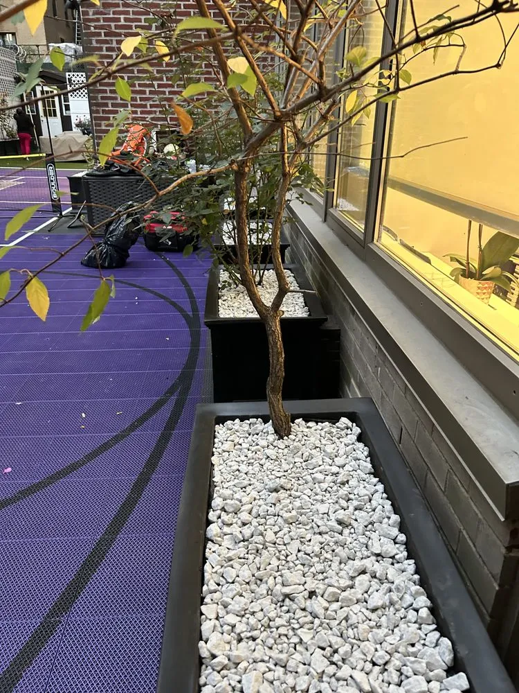 Custom yard cleanup service near you across New York, NY - Transiciones