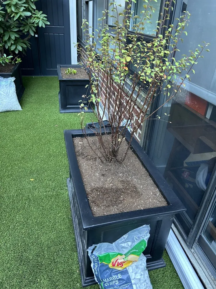 Professional landscape installation with custom design across New York, NY - Transiciones