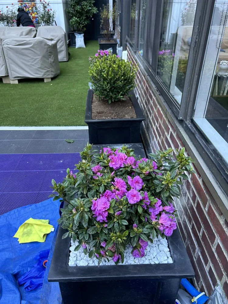 Custom yard cleanup service in New York, NY - Transiciones